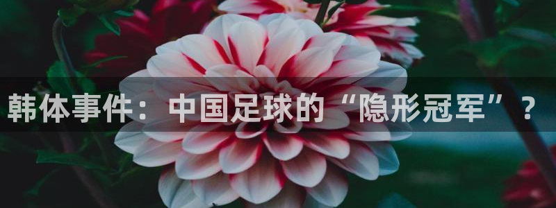 韩体事件：中国足球的“隐形冠军”？