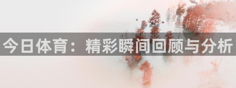 今日体育：精彩瞬间回顾与分析
