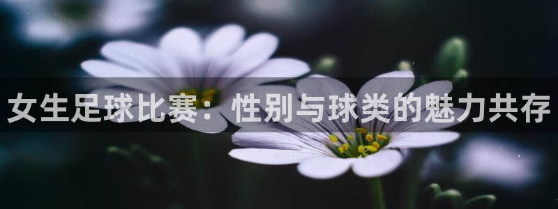 女生足球比赛：性别与球类的魅力共存