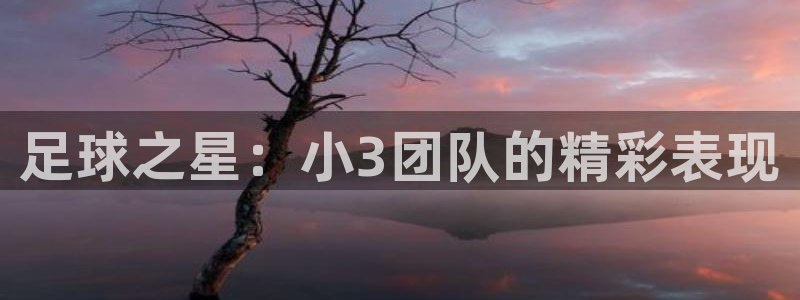 足球之星：小3团队的精彩表现